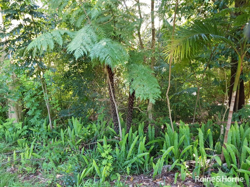 70 Sawtell Road, Toormina NSW 2452