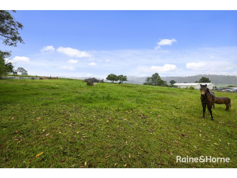 99 Pine Avenue, Ulong NSW 2450