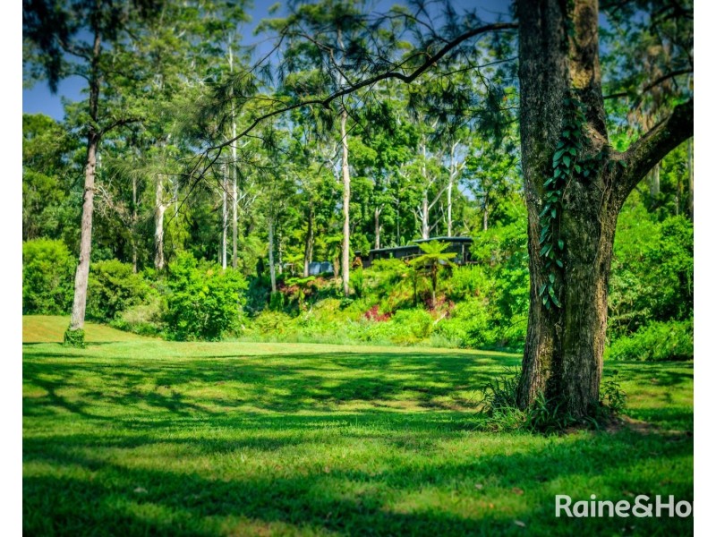 469 Kalang Road, Kalang NSW 2454