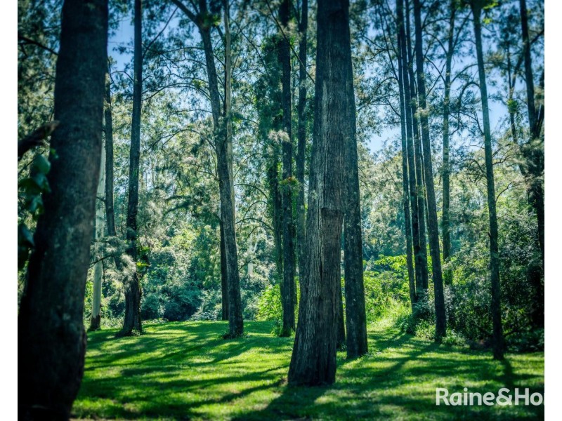 469 Kalang Road, Kalang NSW 2454