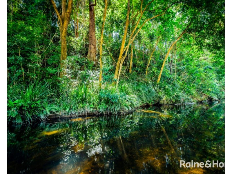 469 Kalang Road, Kalang NSW 2454