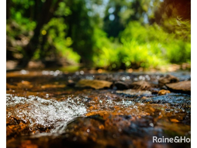 469 Kalang Road, Kalang NSW 2454