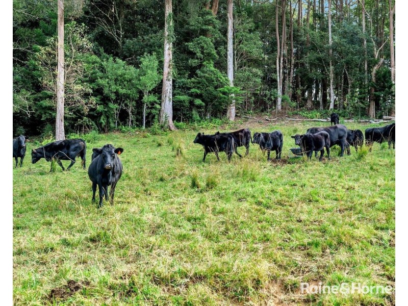 61 Lowanna Road, Lowanna NSW 2450