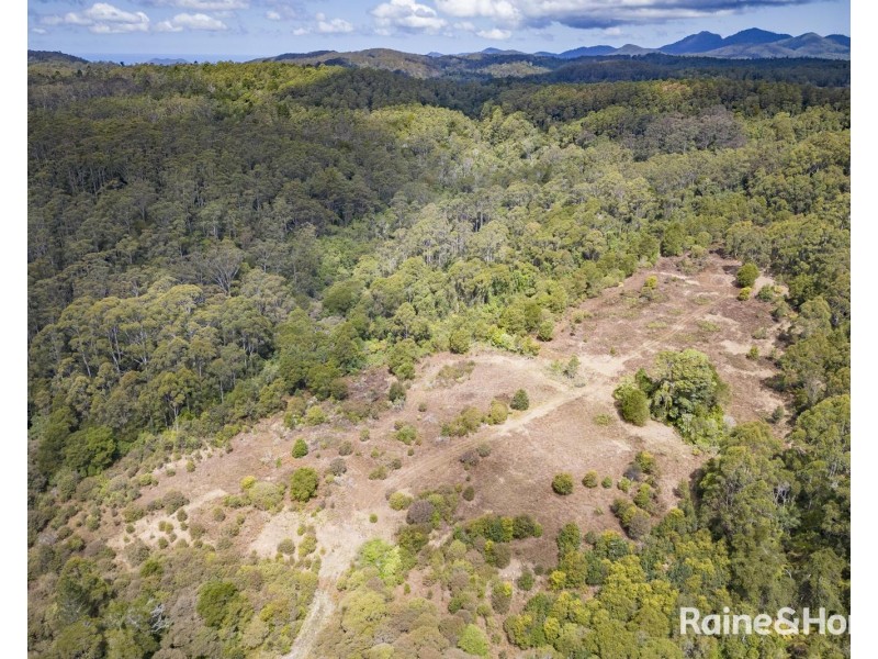 1739 Eastern Dorrigo Way, Ulong NSW 2450