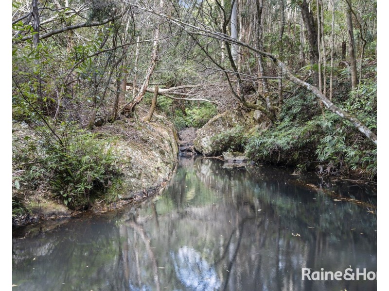 1739 Eastern Dorrigo Way, Ulong NSW 2450