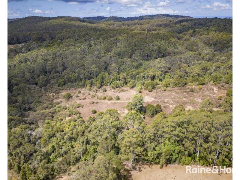 1739 Eastern Dorrigo Way, Ulong NSW 2450