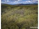 1739 Eastern Dorrigo Way, Ulong NSW 2450