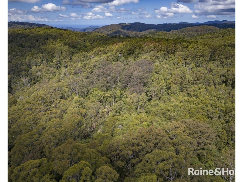 1739 Eastern Dorrigo Way, Ulong NSW 2450