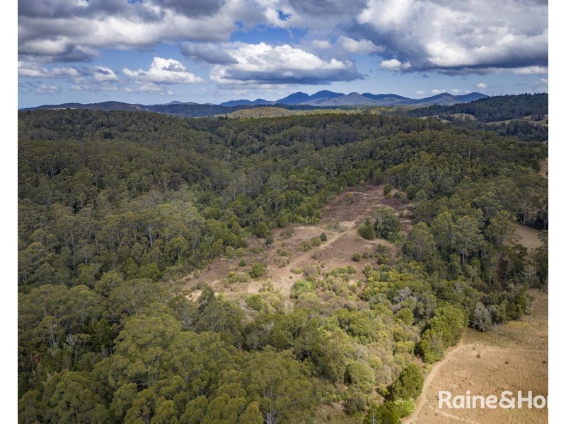 1739 Eastern Dorrigo Way, Ulong NSW 2450