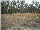 Rosedale QLD 4674