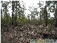 Rosedale QLD 4674