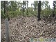 Rosedale QLD 4674