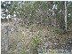 Rosedale QLD 4674