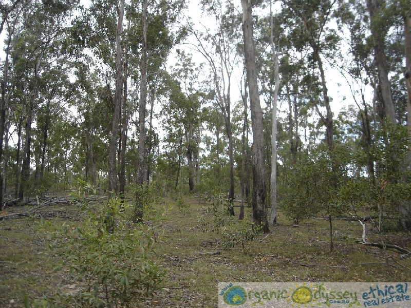 Rosedale QLD 4674