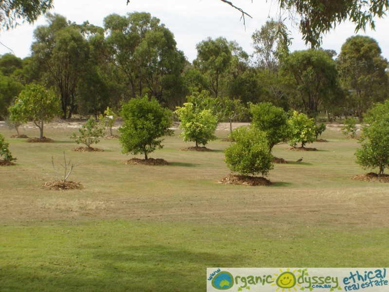 Agnes Water QLD 4677