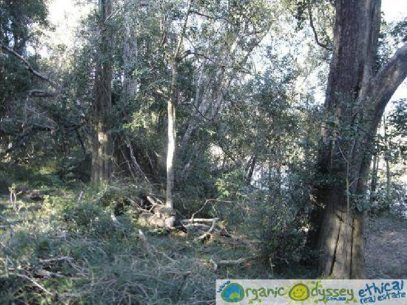 Oyster Creek QLD 4674