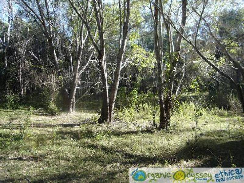 Oyster Creek QLD 4674