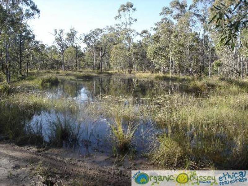 Oyster Creek QLD 4674