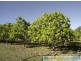 75 Oceanna Court, Deepwater QLD 4674