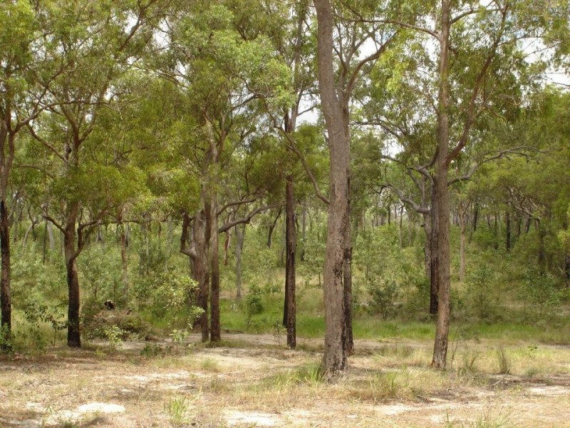 Mount Maria QLD 4674