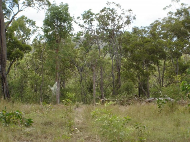 Mount Maria QLD 4674