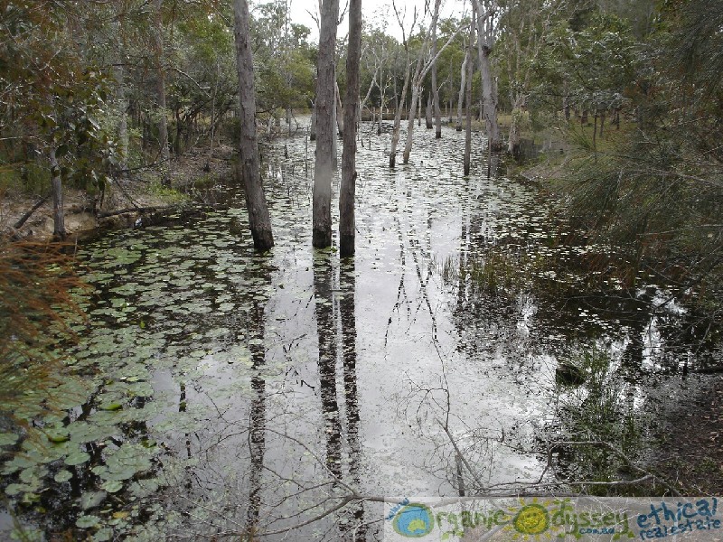 Mount Maria QLD 4674