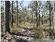 Taunton QLD 4674
