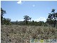 Taunton QLD 4674