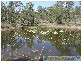 Taunton QLD 4674