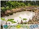 Miriam Vale QLD 4677