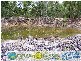 Miriam Vale QLD 4677
