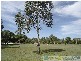 Yandaran QLD 4673