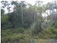 Deepwater QLD 4674