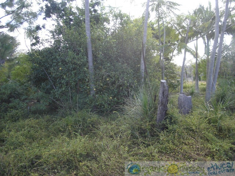 Deepwater QLD 4674