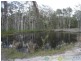 Deepwater QLD 4674
