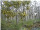 Deepwater QLD 4674