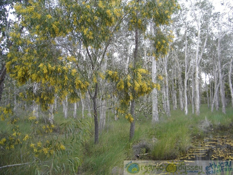 Deepwater QLD 4674