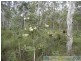 Deepwater QLD 4674