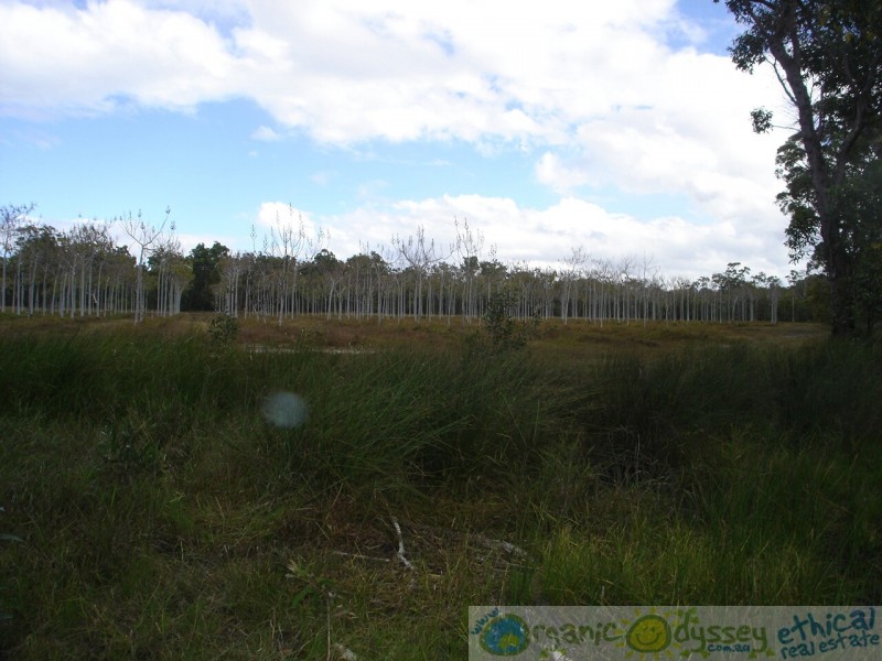 Deepwater QLD 4674