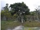 Deepwater QLD 4674