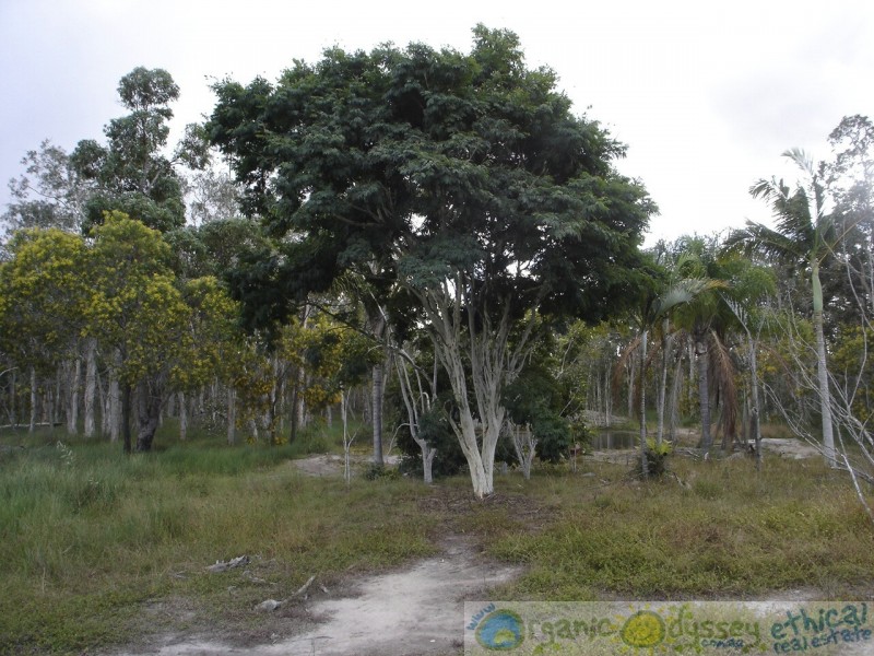 Deepwater QLD 4674