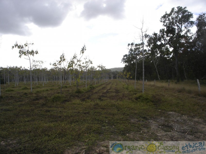 Deepwater QLD 4674
