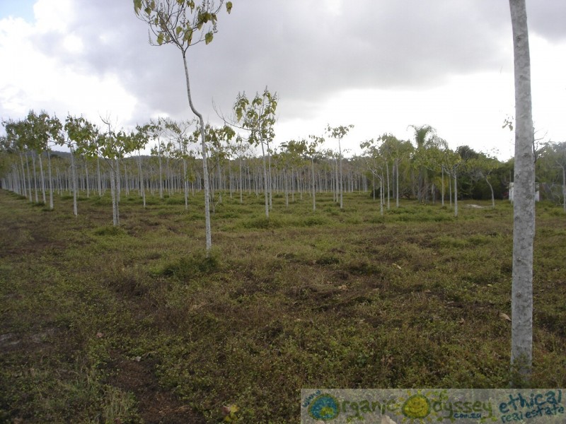 Deepwater QLD 4674
