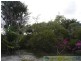 Deepwater QLD 4674