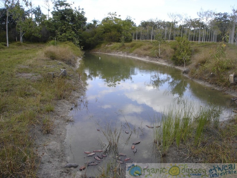 Deepwater QLD 4674