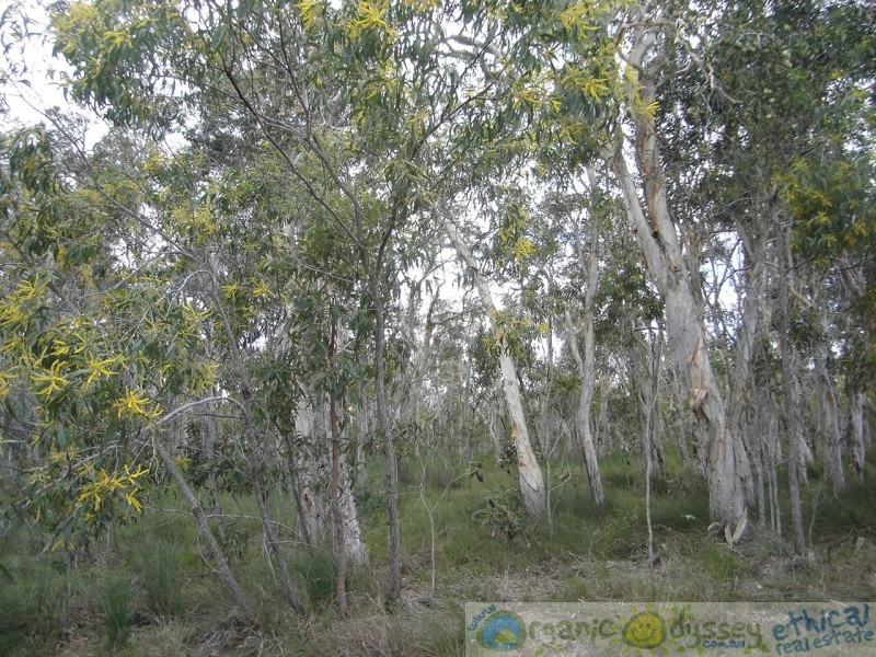 Deepwater QLD 4674