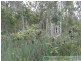 Deepwater QLD 4674
