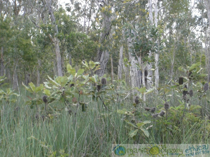 Deepwater QLD 4674