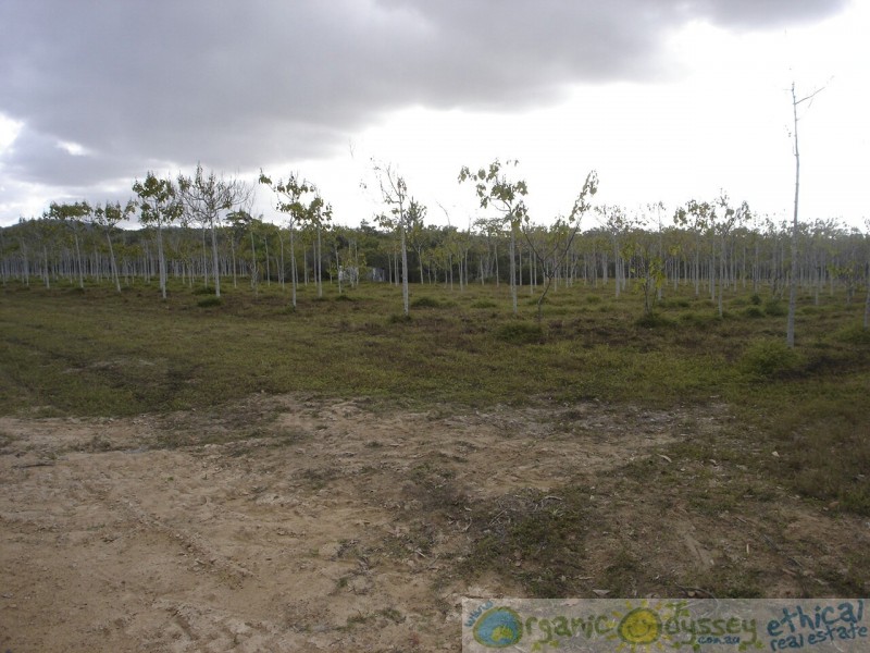 Deepwater QLD 4674