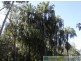 Deepwater QLD 4674